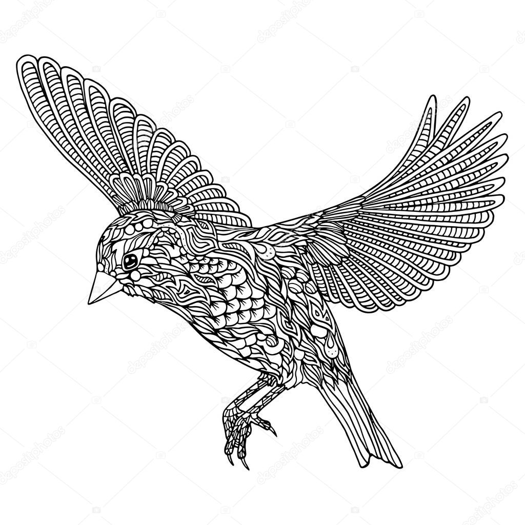 Bird coloring page- Greenfinch