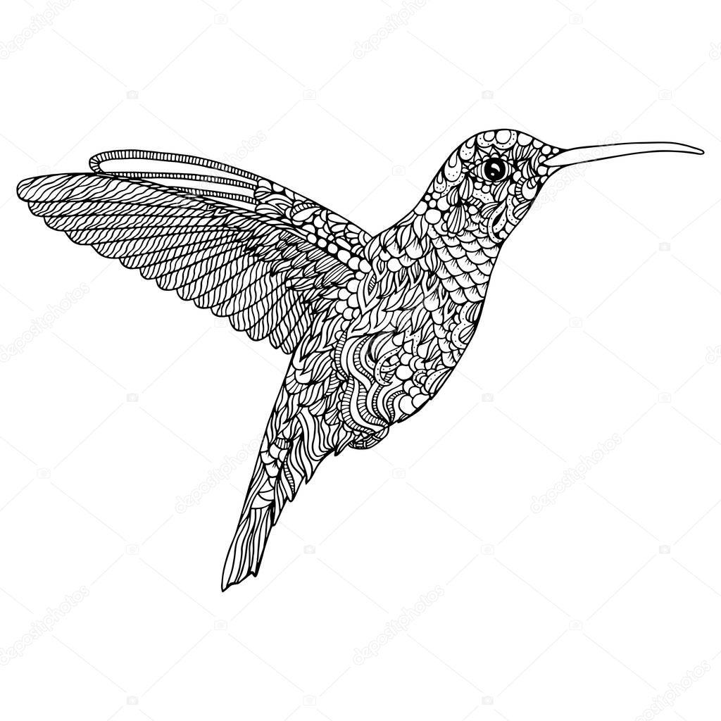 Hummingbird  coloring page