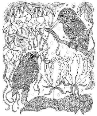 Kuşlar ve çiçekler sayfa boyama.