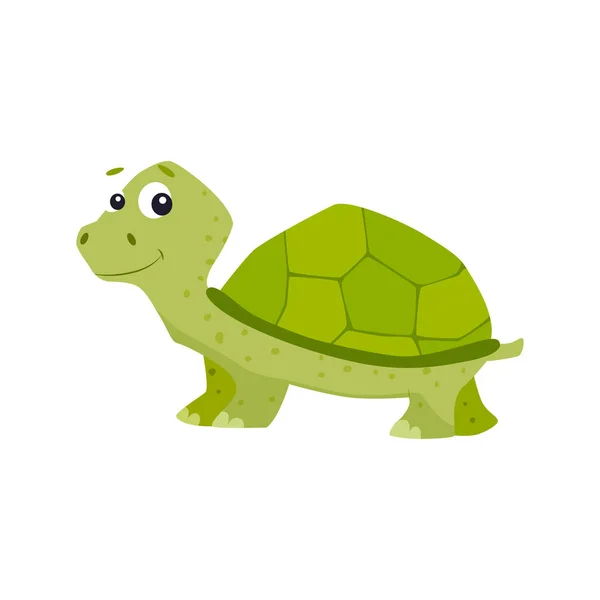 Dibujos animados tortuga vector ilustración . — Vector de stock