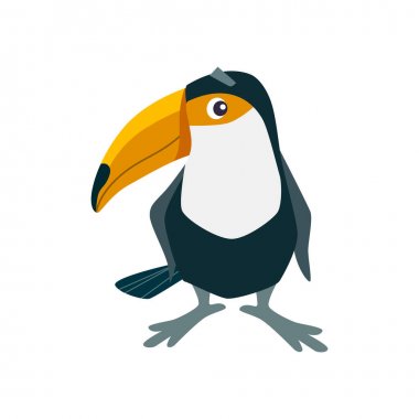 Karikatür toucan vektör düz illüstrasyon.