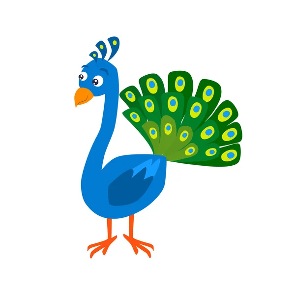 Cartoon peafowl vector flat illustration. — Stock Vector
