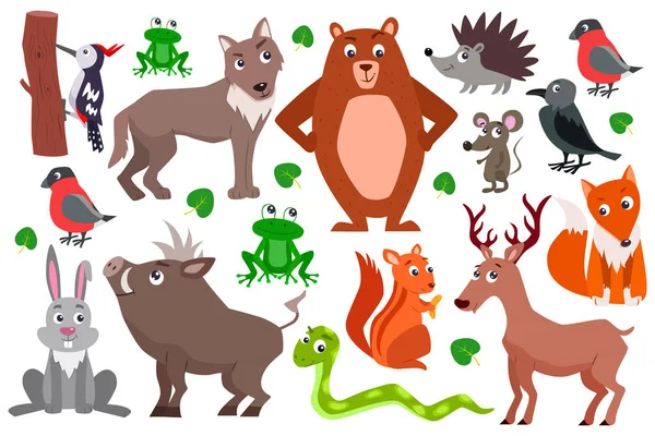 Conjunto de animales lindos del bosque de dibujos animados. Ilustración plana del vector. — Archivo Imágenes Vectoriales