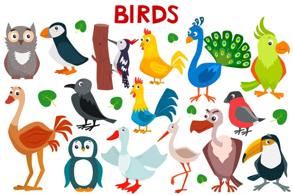 Set di simpatici uccelli dei cartoni animati. Illustrazione piatta vettoriale. — Vettoriale Stock