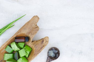 Üstten Görünüm taze aloe vera Beyaz ahşap arka plan üzerinde bırakır.