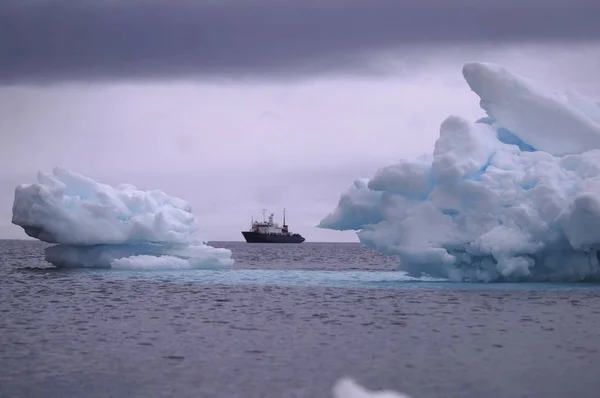 ship on the background of icebergs in the Arctic