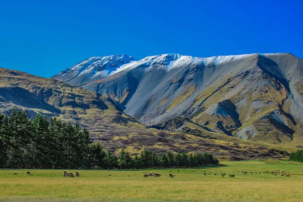 Schneebedeckte Berge Und Hügel Ashburton Lake District Südinsel Neuseeland — Stockfoto