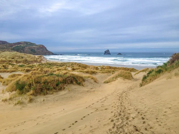 Eerste Bay Tijdens Bewolkte Winterweer Buurt Van Dunedin Otago Peninsula — Stockfoto