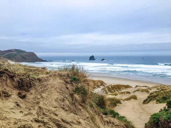 Bay Proti Během Zamračených Zimní Počasí Poblíž Dunedin Otago Peninsula — Stock fotografie