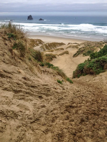 Eerste Bay Tijdens Bewolkte Winterweer Buurt Van Dunedin Otago Peninsula — Stockfoto