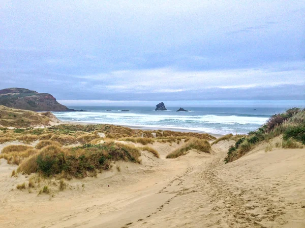 Eerste Bay Tijdens Bewolkte Winterweer Buurt Van Dunedin Otago Peninsula — Stockfoto