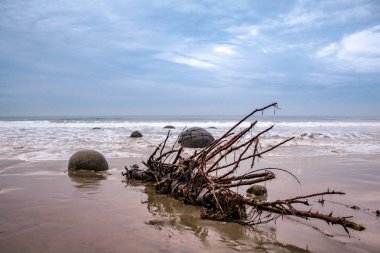 Moeraki Boulders Otago, South Island, Yeni Zelanda