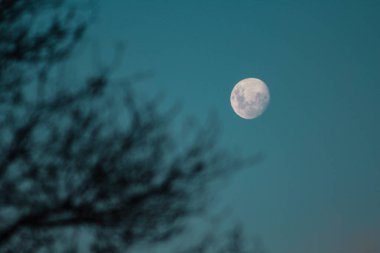 Yeni Zelanda açık gece gökyüzünde Waxing moon