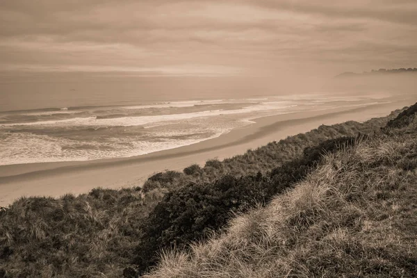 Tranquil Empty Beach Dunedin South Island New Zealand — Stock Photo, Image