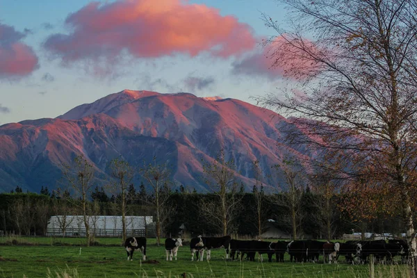 Mountain Landscape Sunrise Methven Canterbury South Island New Zealand — Stock Photo, Image