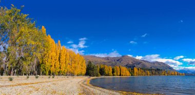 doğal manzaraya Gölü Wanaka şehirde Wanaka, Yeni Zelanda