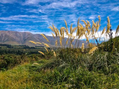 pitoresk Rakaia Gorge ve Rakaia nehir Yeni Zelanda South Island