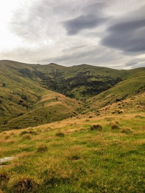 Washpen Falls, South Island, Yeni Zelanda için yolda doğal peyzaj