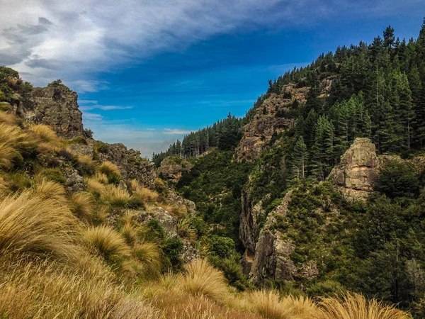 Malerische Landschaft Auf Dem Weg Den Wasserfällen Südinsel Neuseeland — Stockfoto