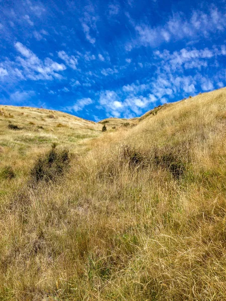 Paisagem Típica Ilha Sul Nova Zelândia — Fotografia de Stock