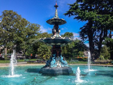 Tavus kuşu çeşmede botanik bahçeleri içinde Christchurch, Canterbury, South Island, Yeni Zelanda