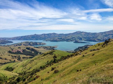 Tepenin bakış açısı yakınındaki Akaroa, Canterbury, South Island, Yeni Zelanda