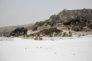 Castle Hill manzara South Island, Yeni Zelanda, karla kaplı
