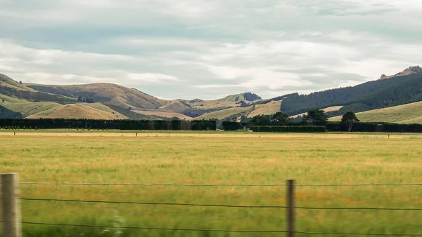 Landschaft Ufer Halbinsel Canterbury Südinsel Neuseeland — Stockfoto