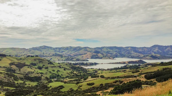 Вид Холма Рядом Акароа Кентербери Южный Остров Новая Зеландия — стоковое фото