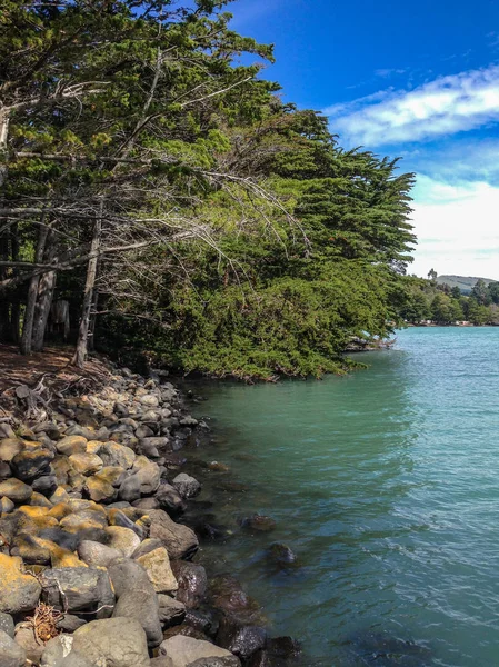 Pigeon Bay Banken Schiereiland Canterbury Zuid Eiland Nieuw Zeeland — Stockfoto