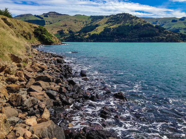 Pigeon Bay Banken Schiereiland Canterbury Zuid Eiland Nieuw Zeeland — Stockfoto