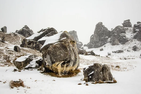 Castle Hill manzara South Island, Yeni Zelanda, karla kaplı