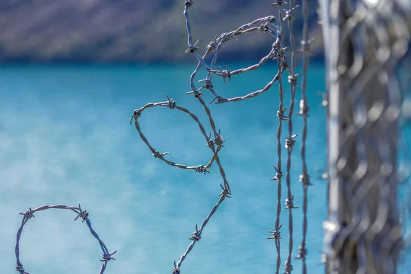 Забор Колючей Проволоки Защиты Озере Кольридж Новая Зеландия — стоковое фото