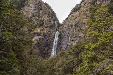 Devil's Punchbowl şelale: Arthur's Pass Ulusal Park, Avustralya
