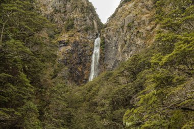 Devil's Punchbowl şelale: Arthur's Pass Ulusal Park, Avustralya