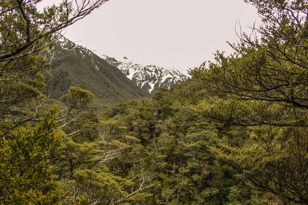 Arthur Pass National Park Canterbury South Island Nuova Zelanda — Foto Stock