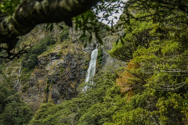 Devil's Punchbowl şelale: Arthur's Pass Ulusal Park, Avustralya
