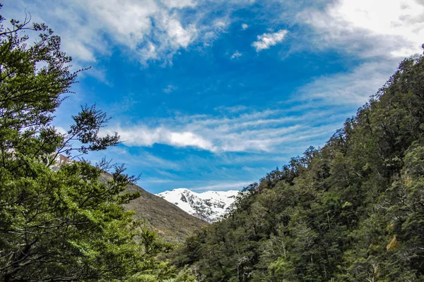 Arthur Pass Nationalpark Canterbury Sydön Nya Zeeland — Stockfoto