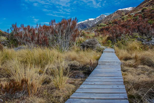 Arthur Pass Nationalpark Canterbury Sydön Nya Zeeland — Stockfoto