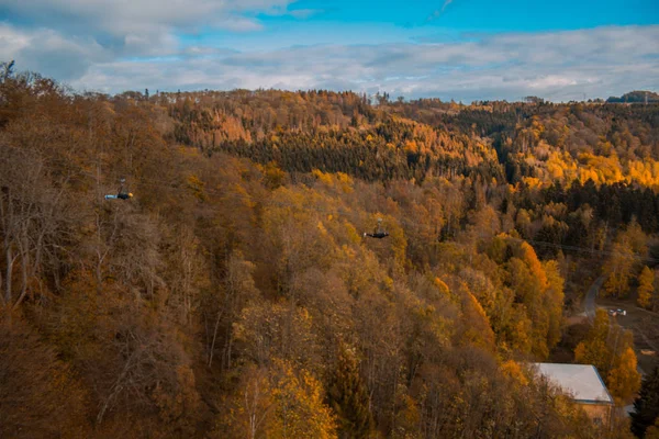 Herbstfarbener Wald Deutschland — Stockfoto