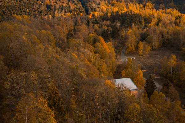 Осенний Цветной Лес Германии — стоковое фото