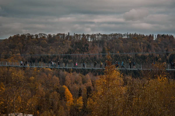 Titan Zawieszenie Most Parku Narodowym Gór Harz Niemcy — Zdjęcie stockowe