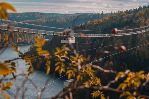 Titan Hängebrücke Nationalpark Harz Deutschland — Stockfoto