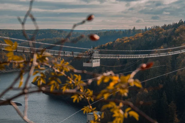 Puente Colgante Titan Parque Nacional Las Montañas Harz Alemania — Foto de Stock