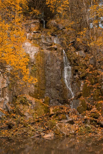 Koenigshuette Водоспад Під Час Осінь Регіоні Harz Гори Національного Парку — стокове фото