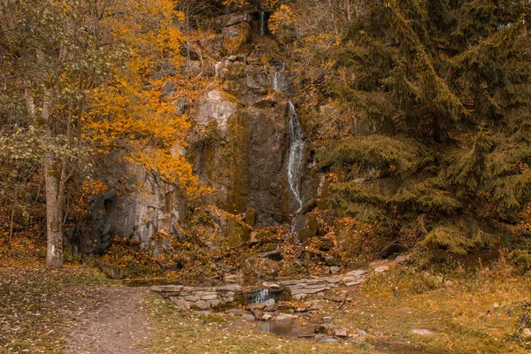 하르츠 국립공원 독일에서가 Koenigshuette — 스톡 사진