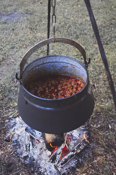 Outdoor cooking over campfire in Gerrmany