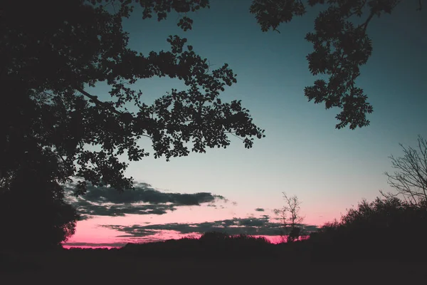 Schöner Farbenfroher Sonnenuntergang Naturschutzgebiet Deutschland — Stockfoto