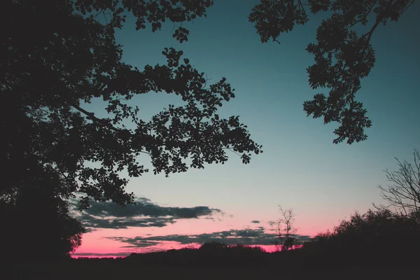 Magnifique Coucher Soleil Coloré Dans Réserve Naturelle Allemagne — Photo