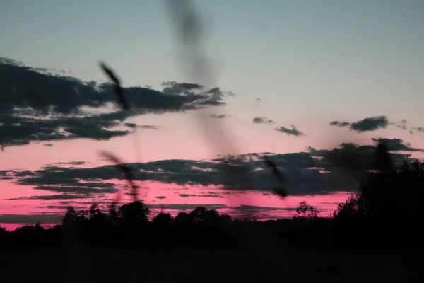 Schöner Farbenfroher Sonnenuntergang Naturschutzgebiet Deutschland — Stockfoto